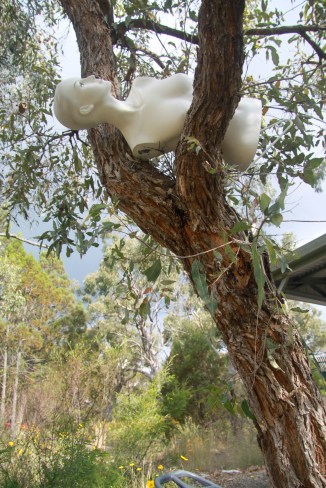 Isabella and the Hummingbird.