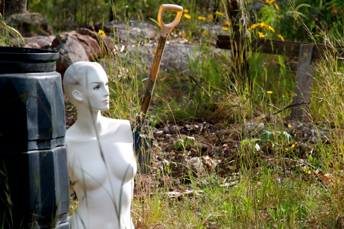 Isabella and The Secret Affair with Compost.