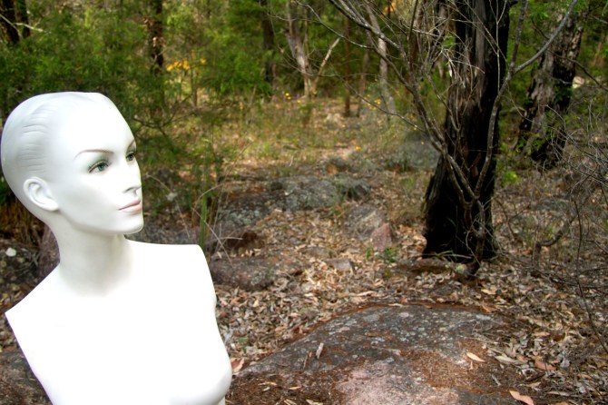 Isabella and The Missing Hikers.