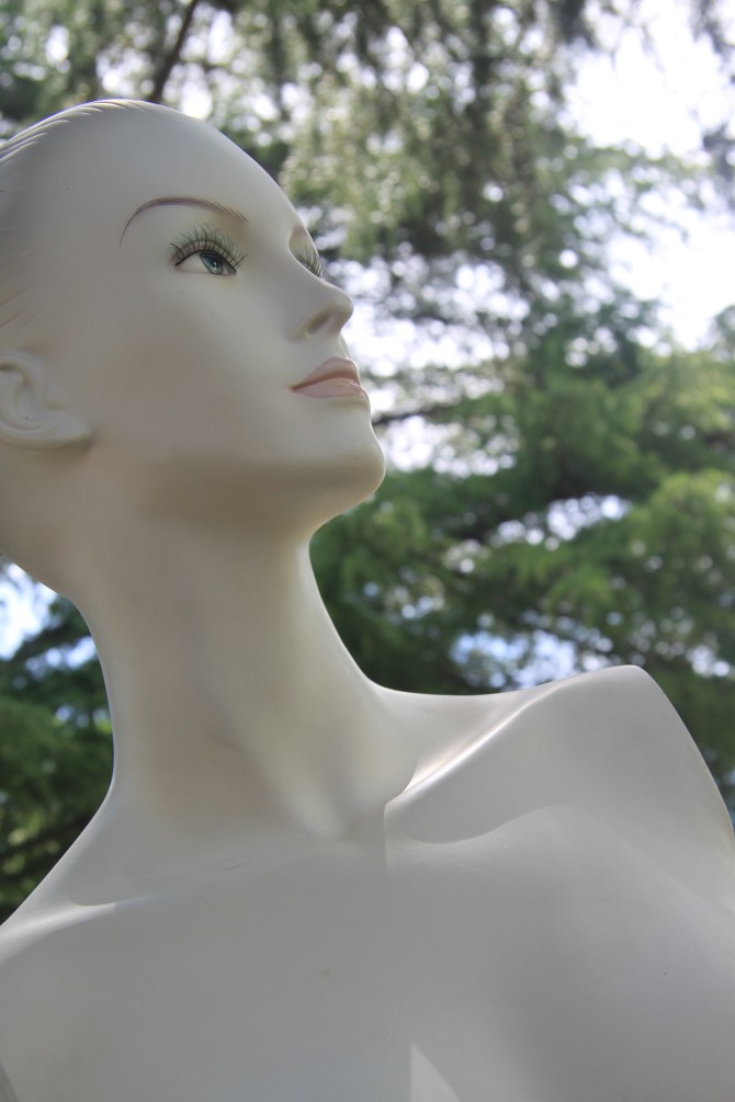 Isabella and The Disco Grooves.