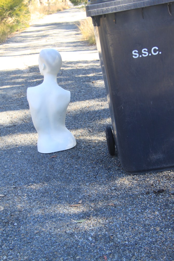 Isabella and The Wheelie Bin.