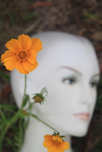 Isabella and the Downward Dog.