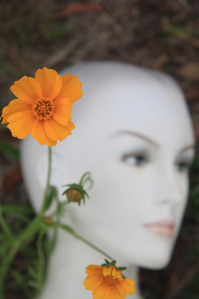 Isabella and the Downward Dog.