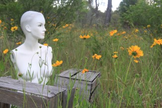 Isabella and the International Fruit Pickers.