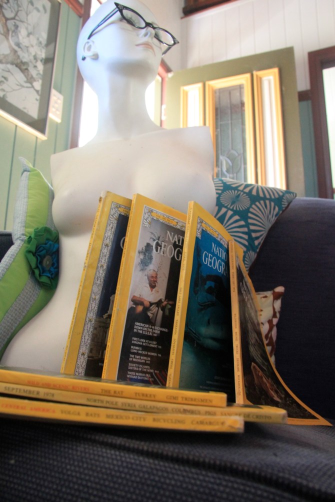 Isabella and The Hoard of National Geographics.