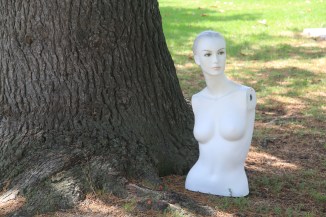 Isabella and her Hippie Roots