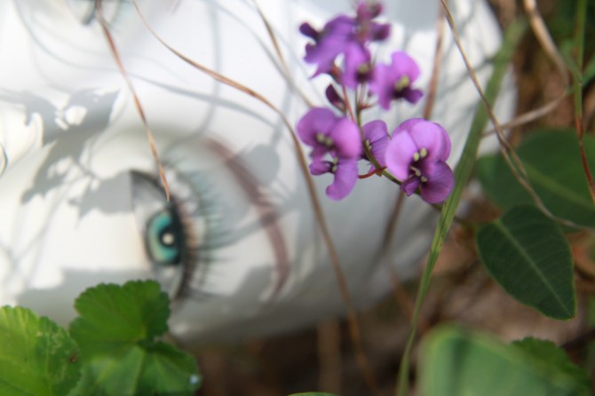Isabella and The Winter Blues, Greens and Purples.