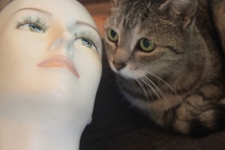 Isabella and the Cat with Many Secrets.