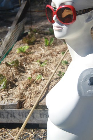 Isabella and The Pallet Garden.