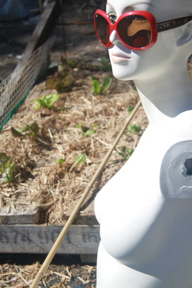 Isabella and The Pallet Garden.